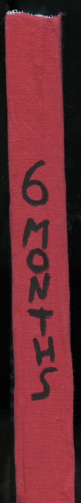 Leon Griessmayr